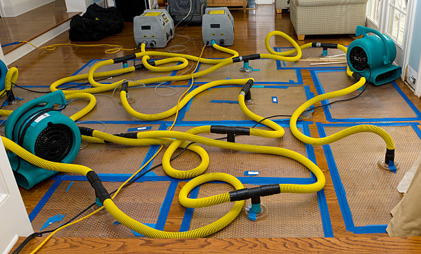 Professional Crawl Space Water Removal technician working in Mountain View, HI